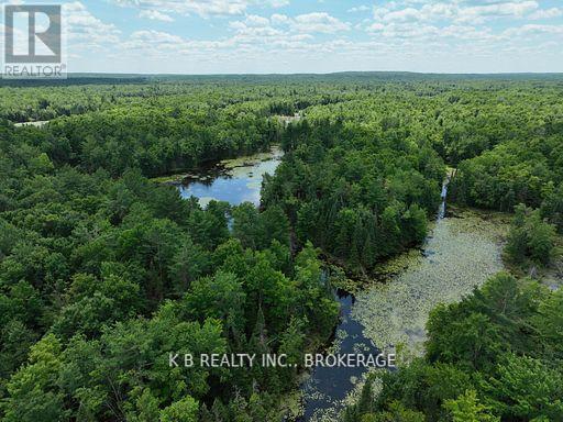 17887 62 Highway, Tudor And Cashel, Ontario  K0K 1Y0 - Photo 6 - X12674076