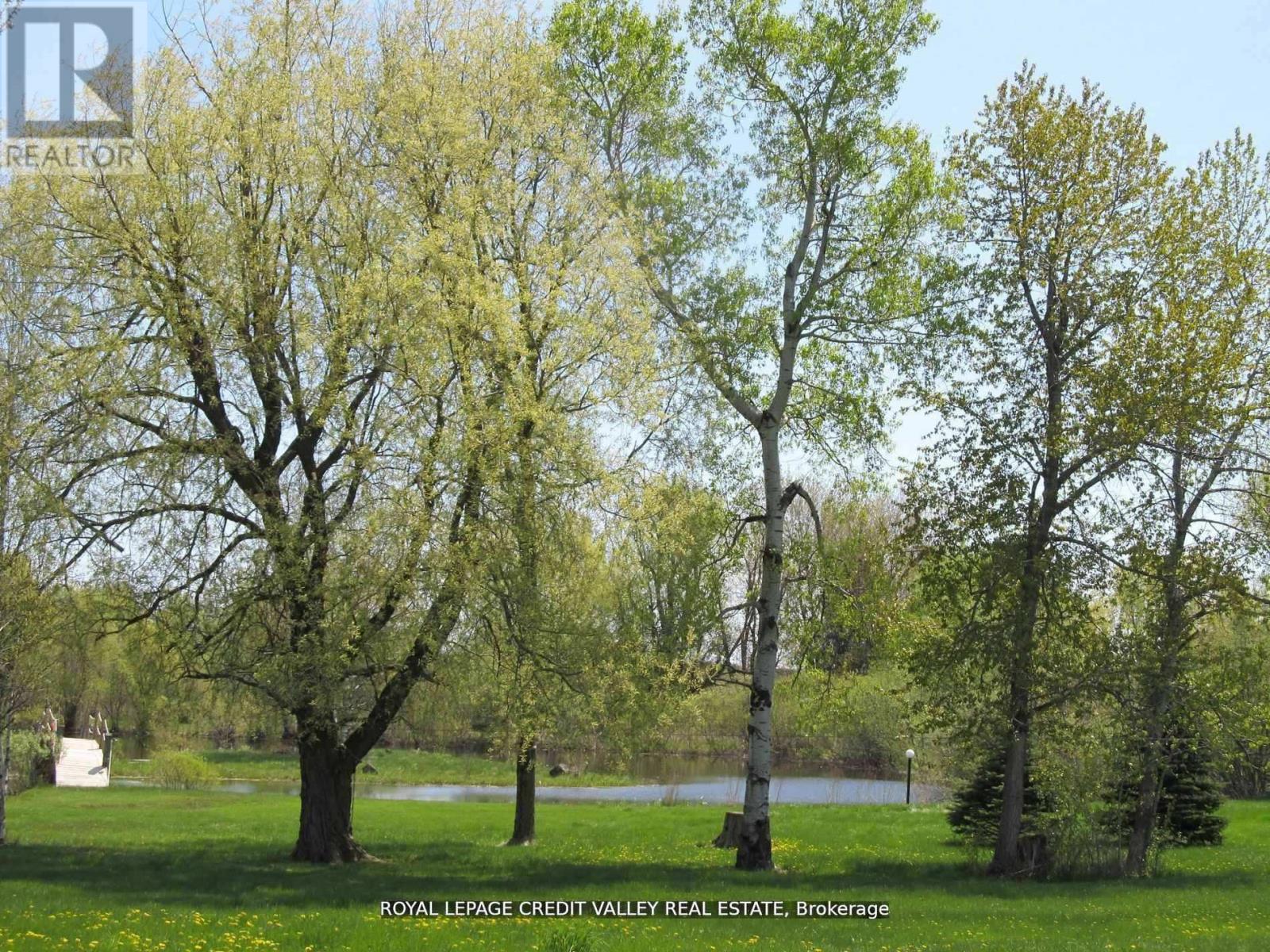 476345 3rd Line, Melancthon, Ontario  L9V 1T4 - Photo 12 - X12674124