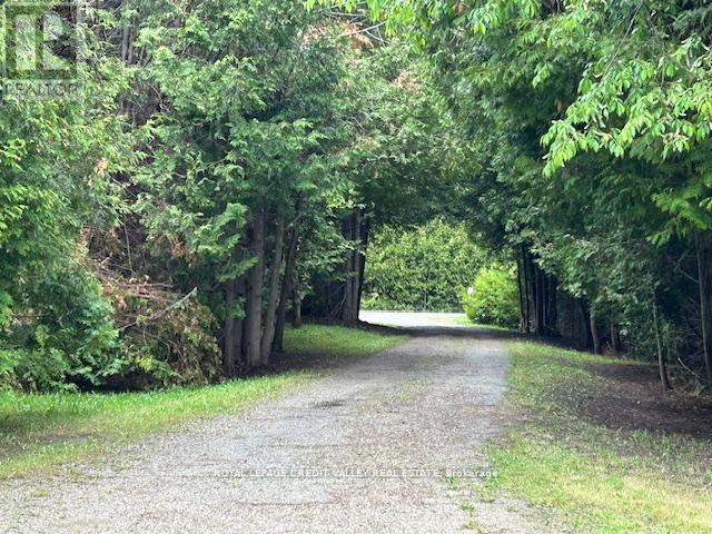 476345 3rd Line, Melancthon, Ontario  L9V 1T4 - Photo 44 - X12674124