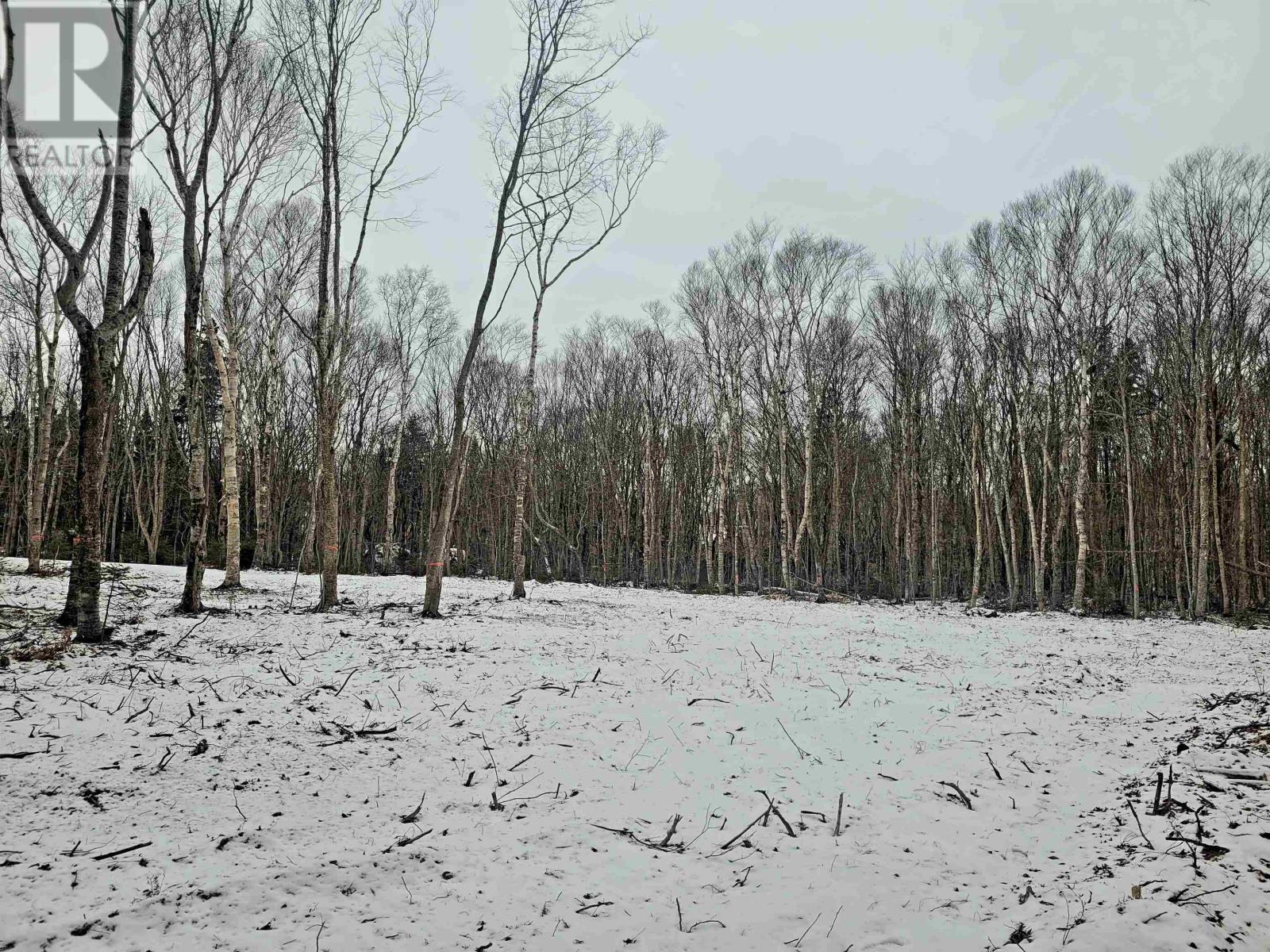 23-2 Fernwood Road, Bedeque And Area, Prince Edward Island  C0B 1C0 - Photo 3 - 202600357