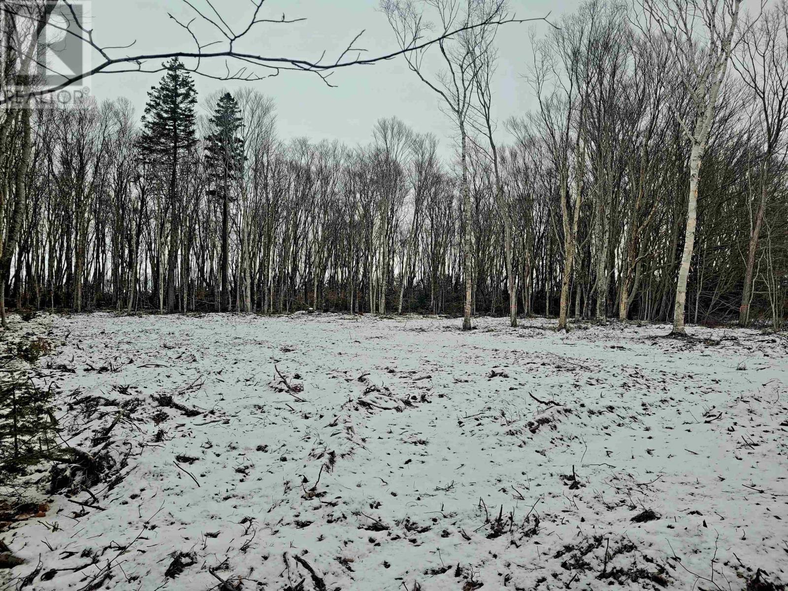 23-2 Fernwood Road, Bedeque And Area, Prince Edward Island  C0B 1C0 - Photo 5 - 202600357