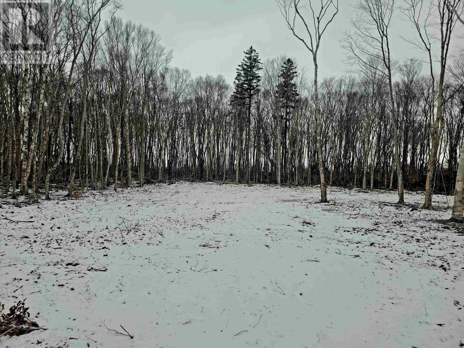 23-2 Fernwood Road, Bedeque And Area, Prince Edward Island  C0B 1C0 - Photo 6 - 202600357