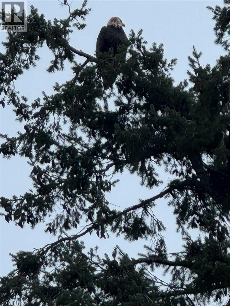 1601 596 Marine Dr, Ucluelet, British Columbia  V0R 3A0 - Photo 58 - 1022627