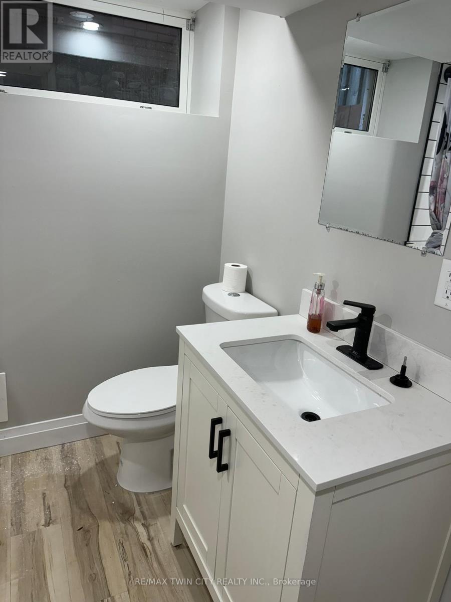 Lower - 266 Dalhousie Street, Brantford, Ontario  N3S 3V2 - Photo 10 - X12674886