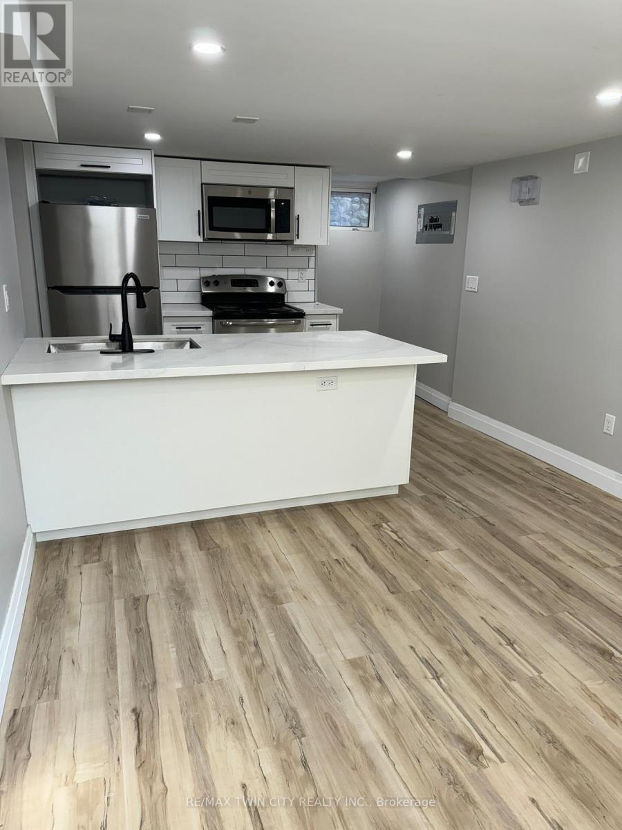 Lower - 266 Dalhousie Street, Brantford, Ontario  N3S 3V2 - Photo 13 - X12674886