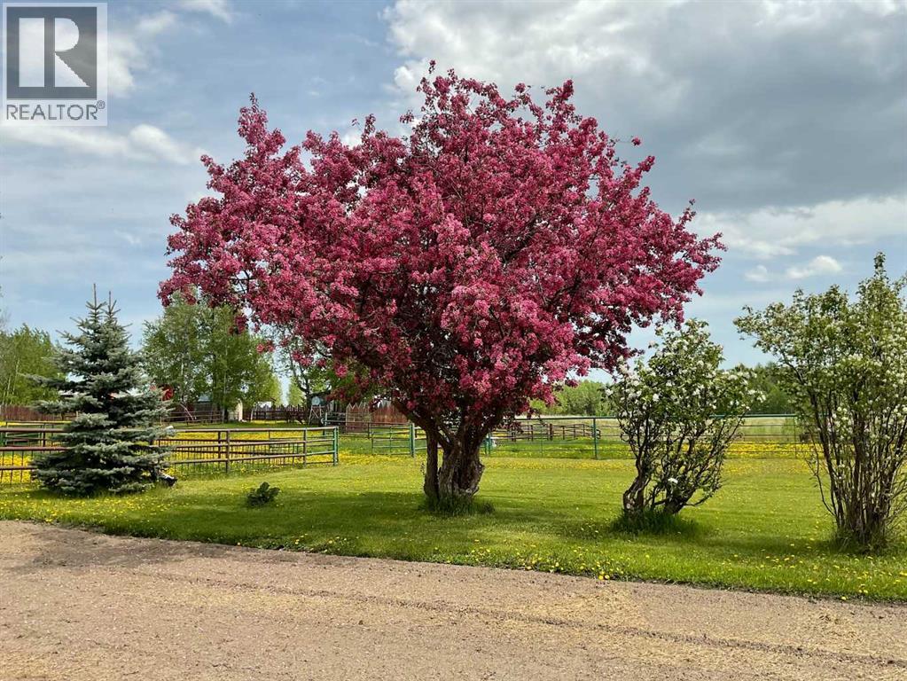 370043 Range Road 6-1, Rural Clearwater County, Alberta  T4T 2A3 - Photo 7 - A2269983