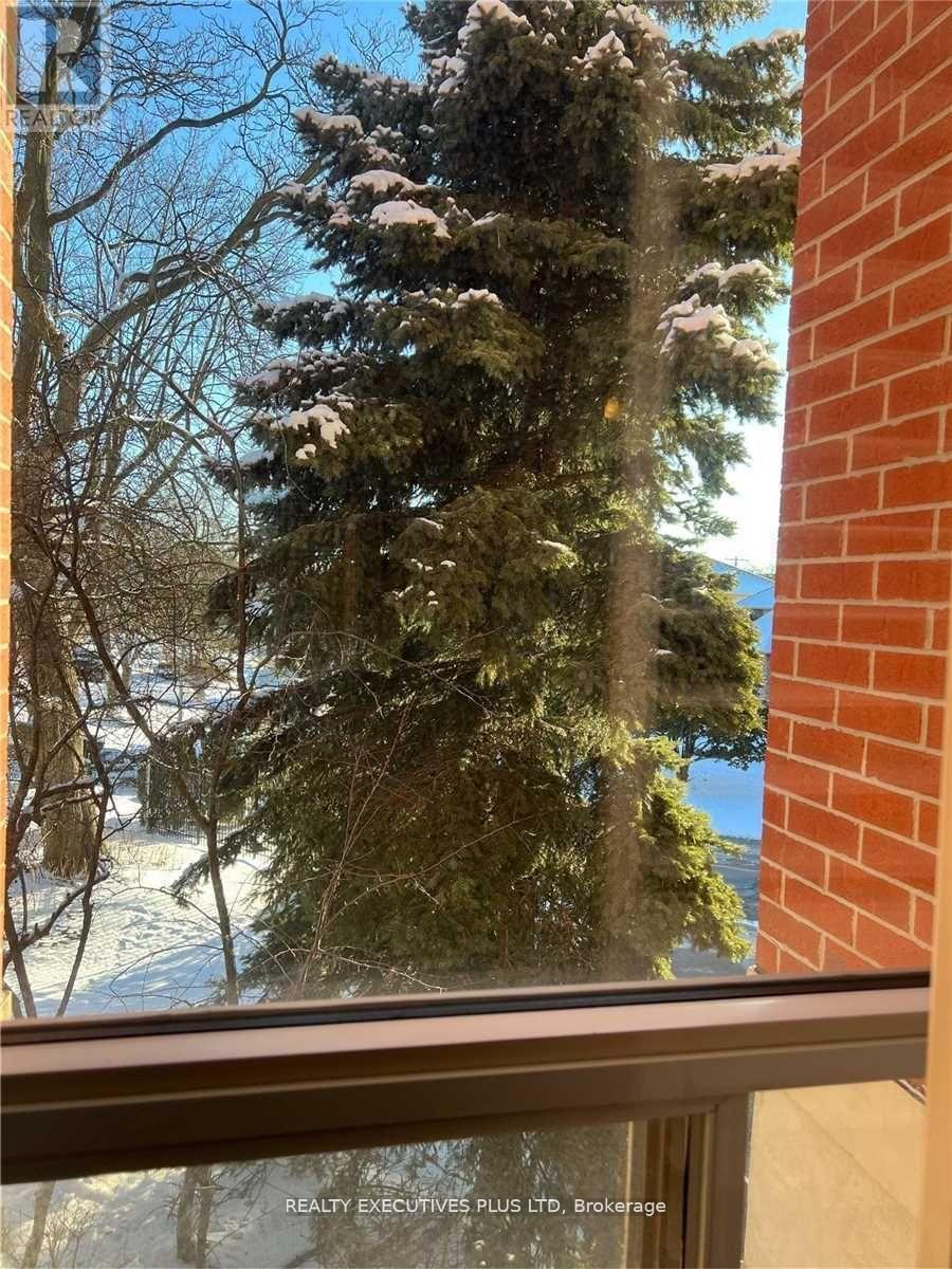 203 - 801 Lawrence Avenue E, Toronto, Ontario  M3C 3W2 - Photo 16 - C12675068