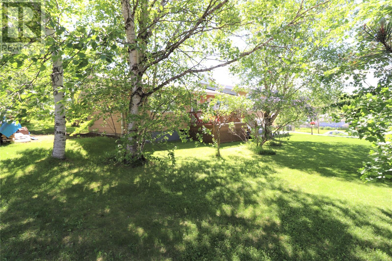 50 A And B Wights Road, Deer Lake, Newfoundland & Labrador  A8A 2H8 - Photo 3 - 1293536