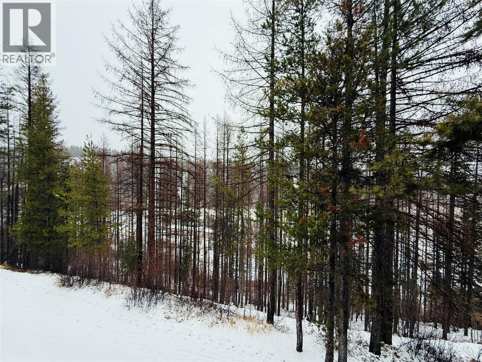 300 Stemwinder Drive Unit# 210, Kimberley, British Columbia  V1A 2Y5 - Photo 40 - 10370356