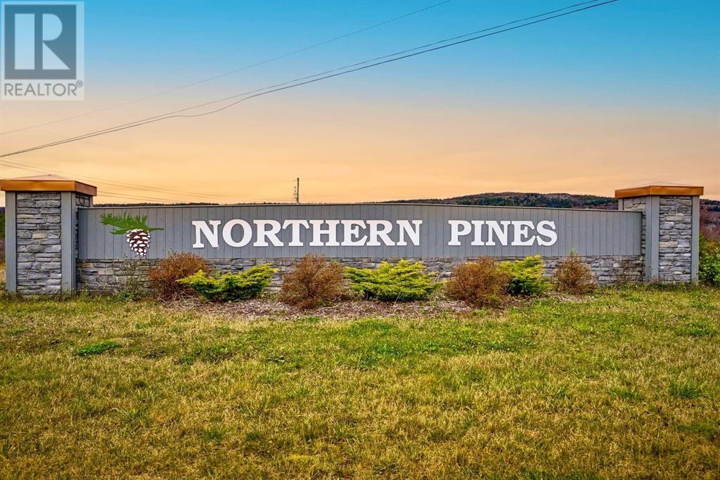 49 Jack Pine Drive, Spaniard's Bay, Newfoundland & Labrador  A0A 3X0 - Photo 12 - 1293547