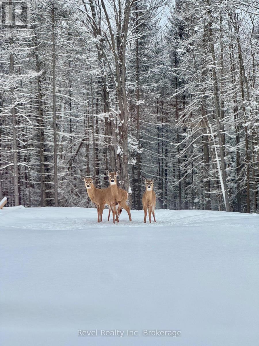 1196 River Road, Chisholm, Ontario  P0H 1B0 - Photo 5 - X12675370
