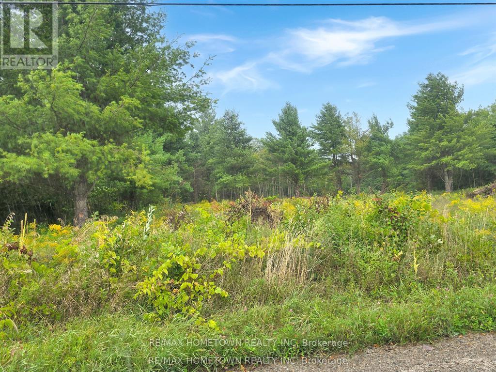 0 Best Road, Drummond/north Elmsley, Ontario K7A 4S4 - Photo 3 - X12675330