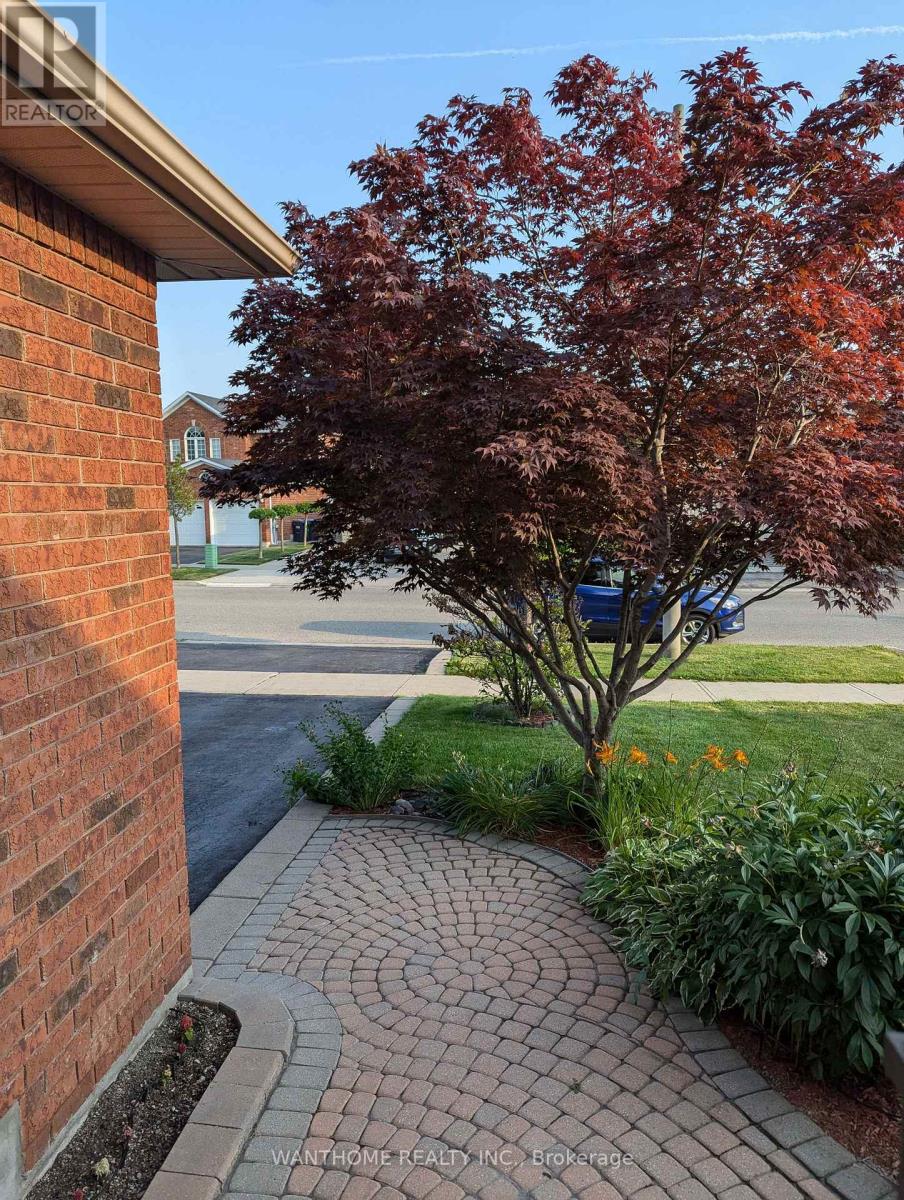 5533 Loonlake Avenue, Mississauga, Ontario  L5V 2E3 - Photo 15 - W12650866