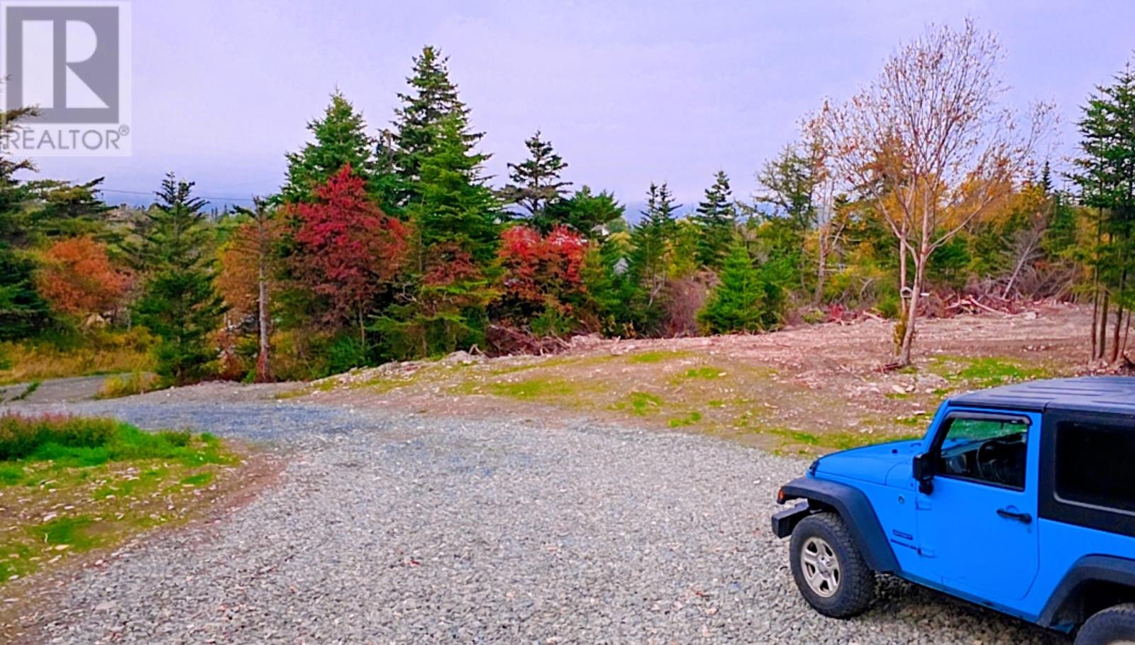 295-307 Cemetry Road, Brigus, Newfoundland & Labrador  A0A 1K0 - Photo 16 - 1293205