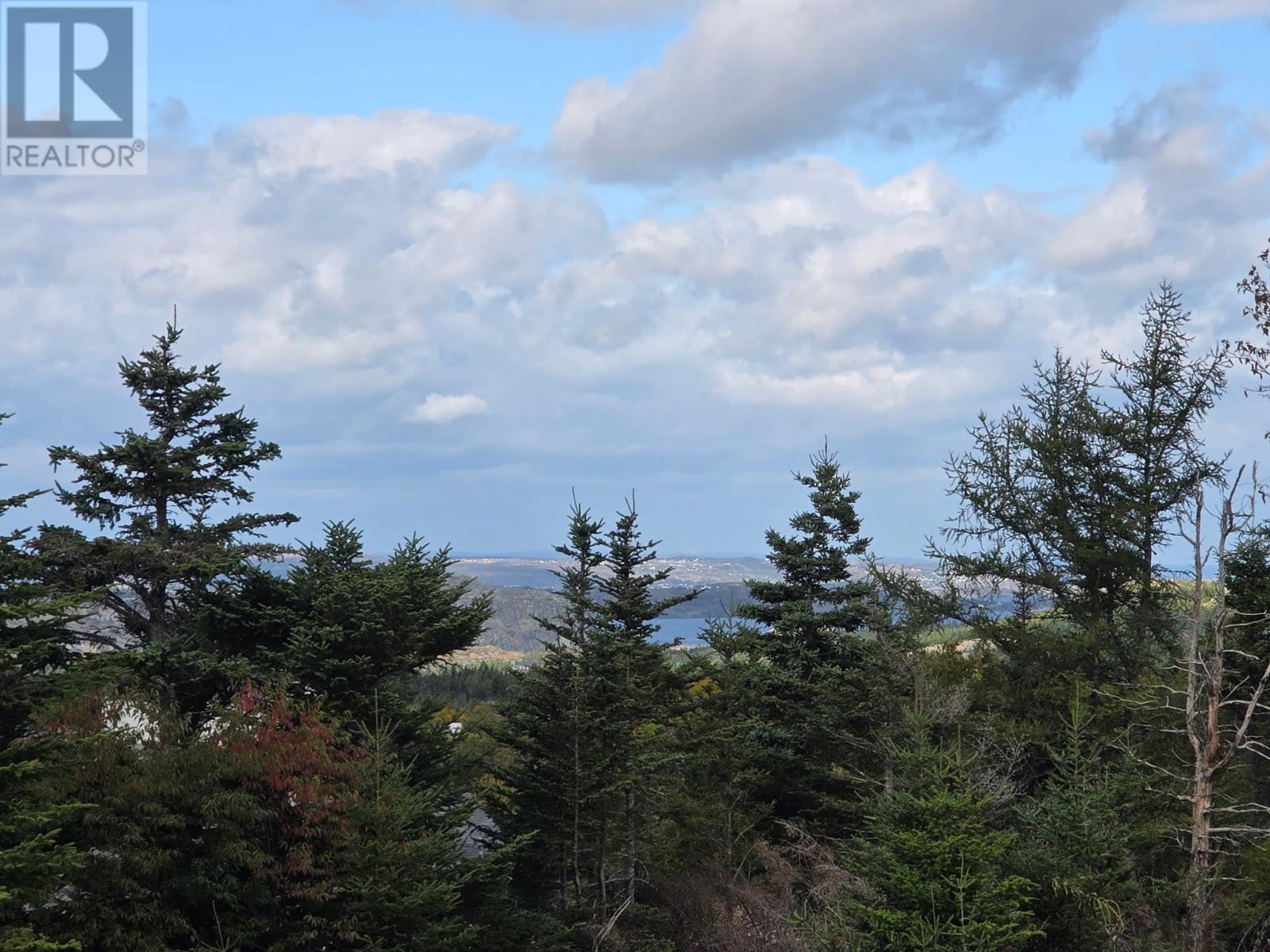 295-307 Cemetry Road, Brigus, Newfoundland & Labrador  A0A 1K0 - Photo 17 - 1293205