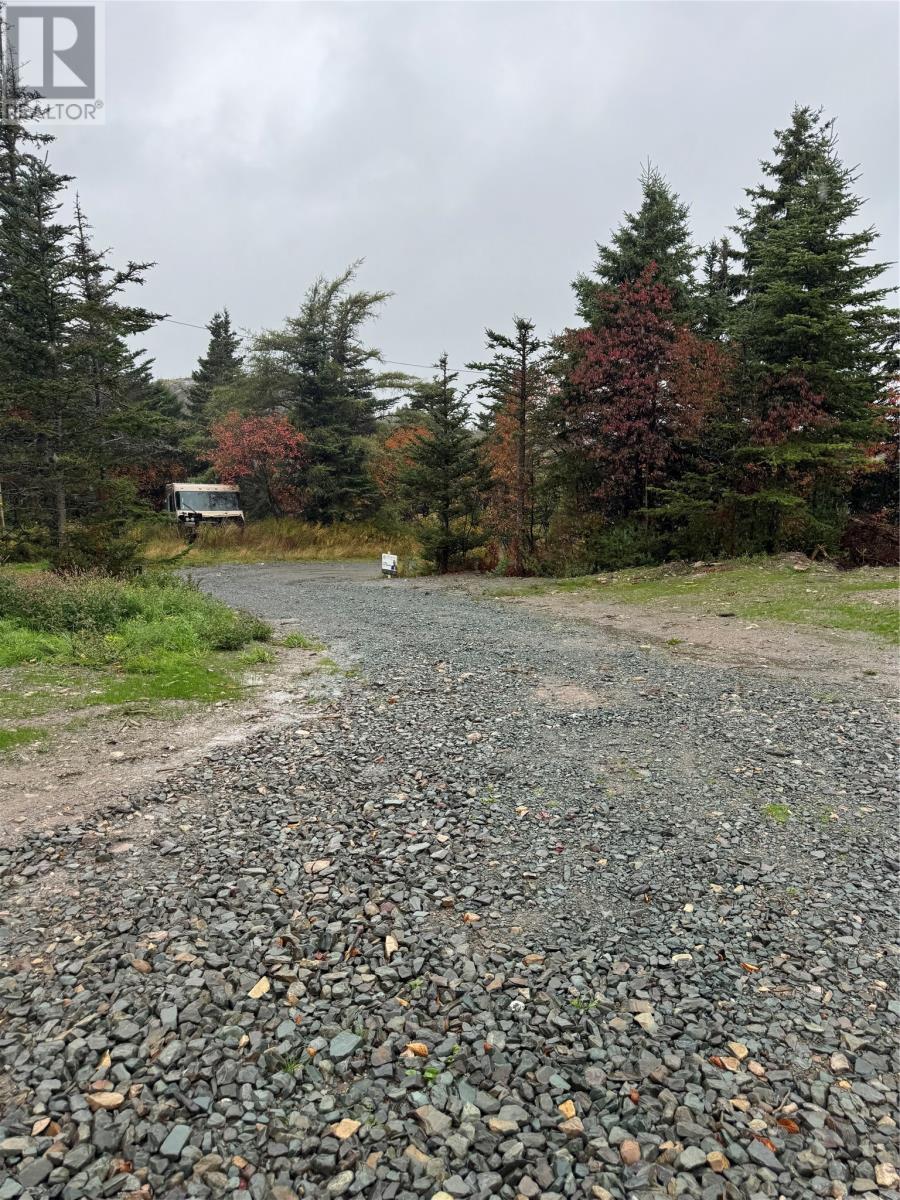 295-307 Cemetry Road, Brigus, Newfoundland & Labrador  A0A 1K0 - Photo 5 - 1293205