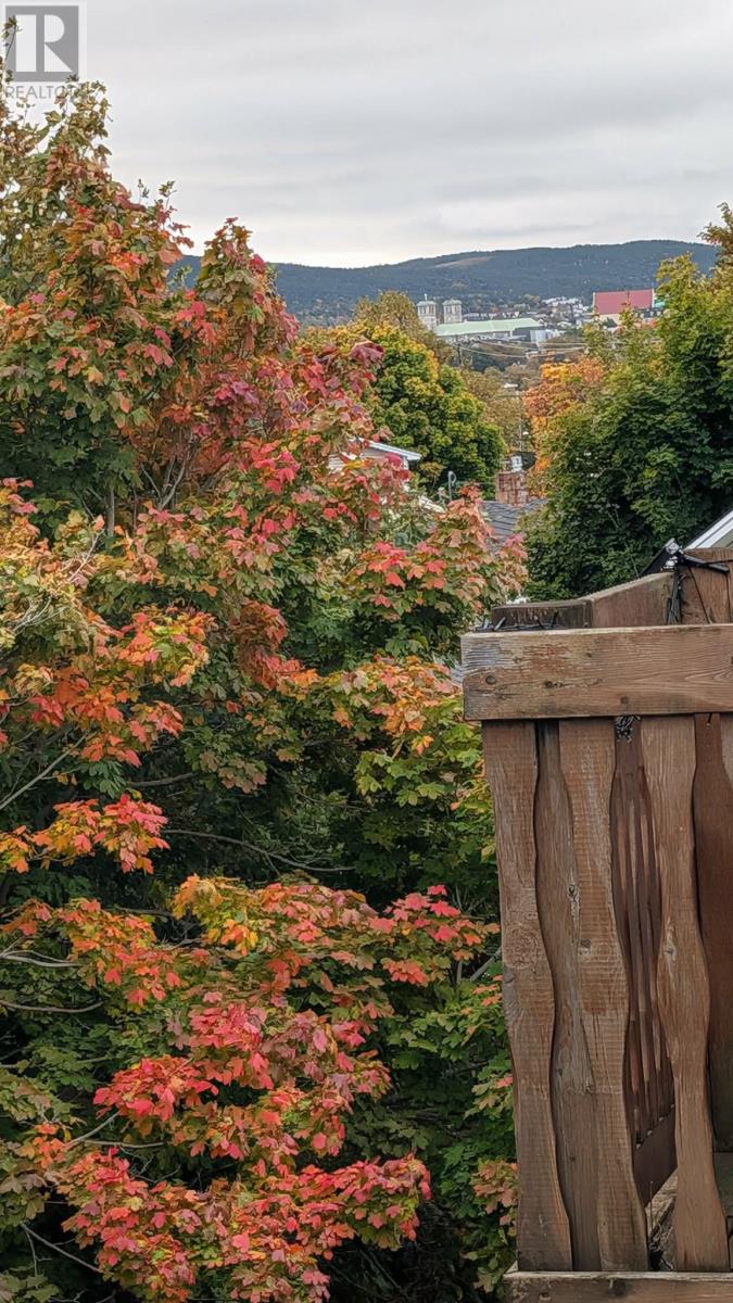 104 Portugal Cove Road, St. John's, Newfoundland & Labrador  A1B 2M7 - Photo 19 - 1293551