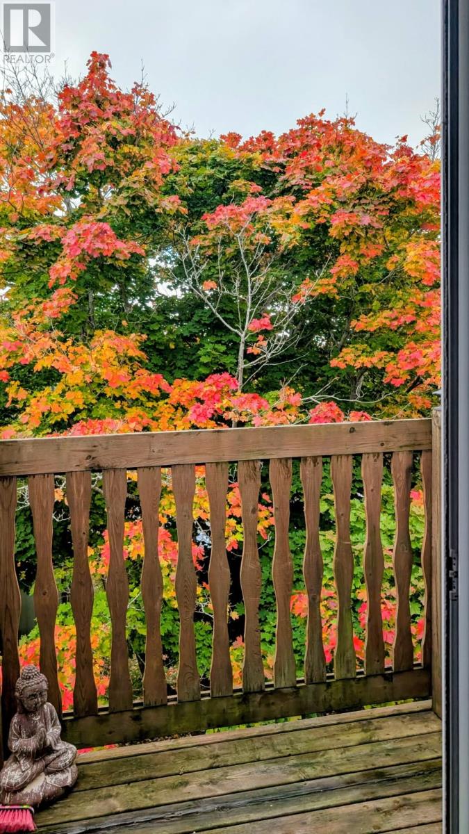 104 Portugal Cove Road, St. John's, Newfoundland & Labrador  A1B 2M7 - Photo 21 - 1293551