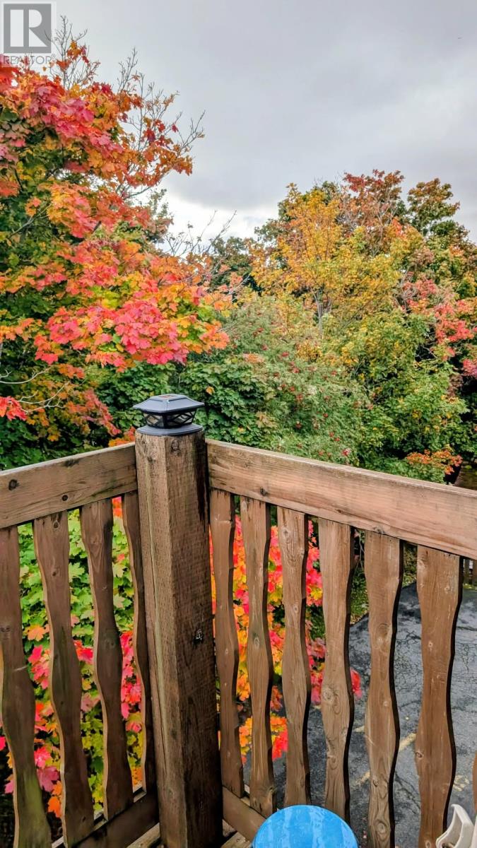 104 Portugal Cove Road, St. John's, Newfoundland & Labrador  A1B 2M7 - Photo 23 - 1293551