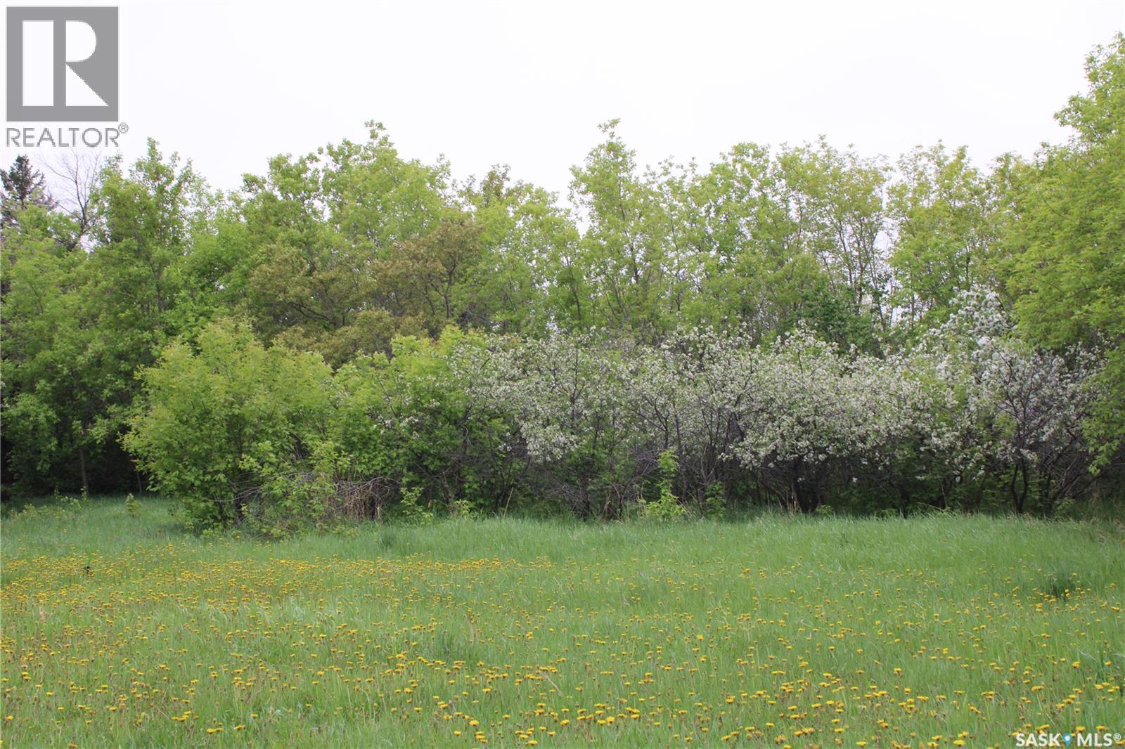 730 Broadway Street W, Orkney Rm No. 244, Saskatchewan  S3N 0P3 - Photo 6 - SK026429