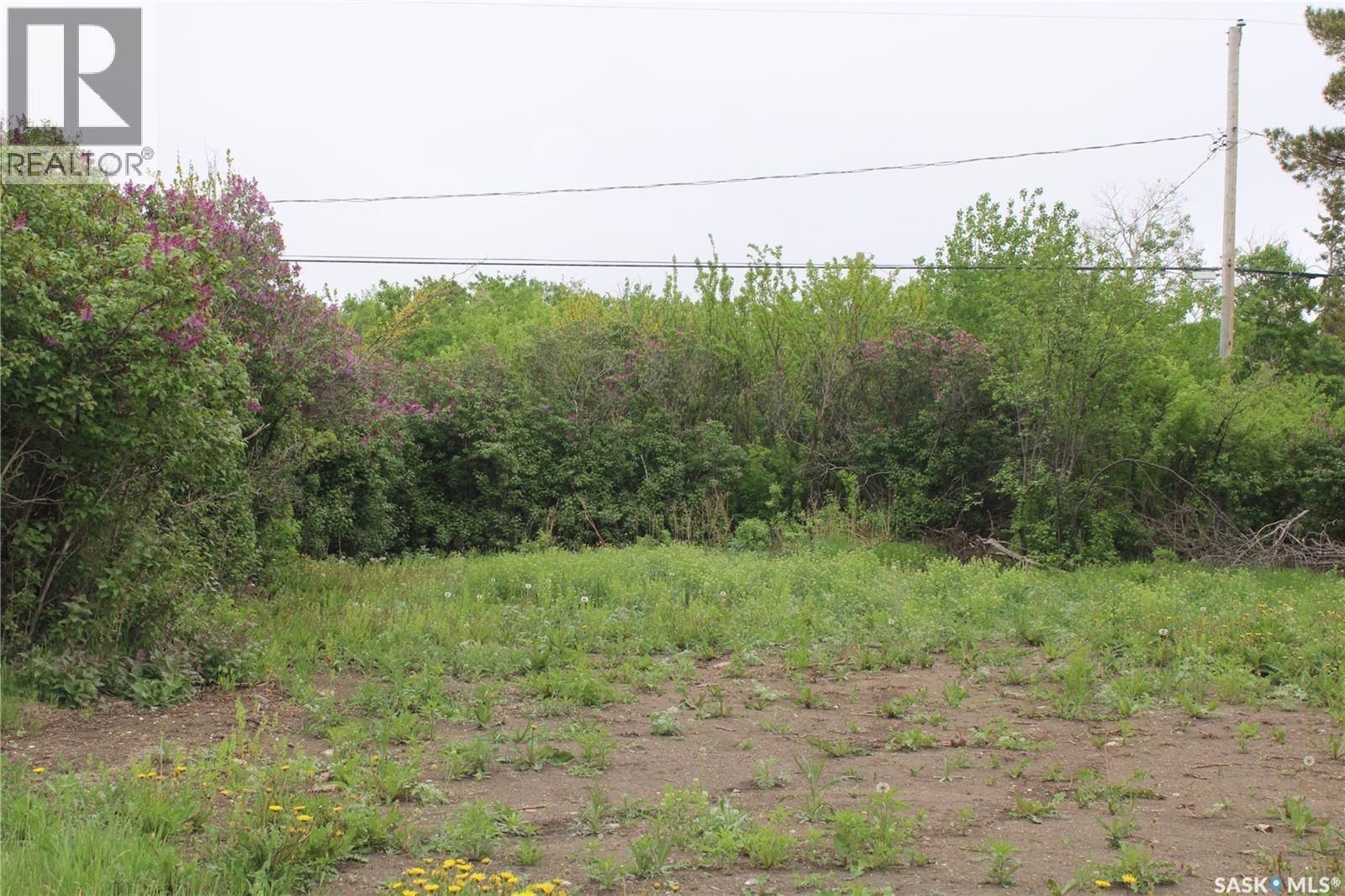 730 Broadway Street W, Orkney Rm No. 244, Saskatchewan  S3N 0P3 - Photo 8 - SK026429