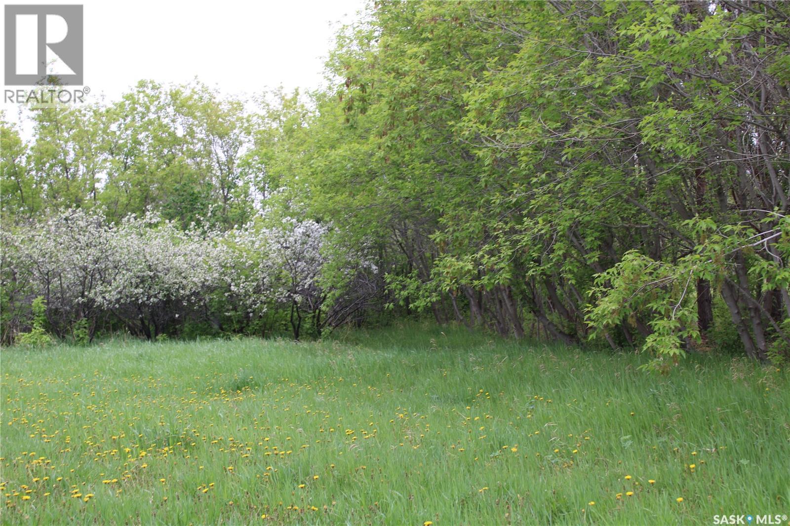 730 Broadway Street W, Orkney Rm No. 244, Saskatchewan  S3N 0P3 - Photo 9 - SK026429