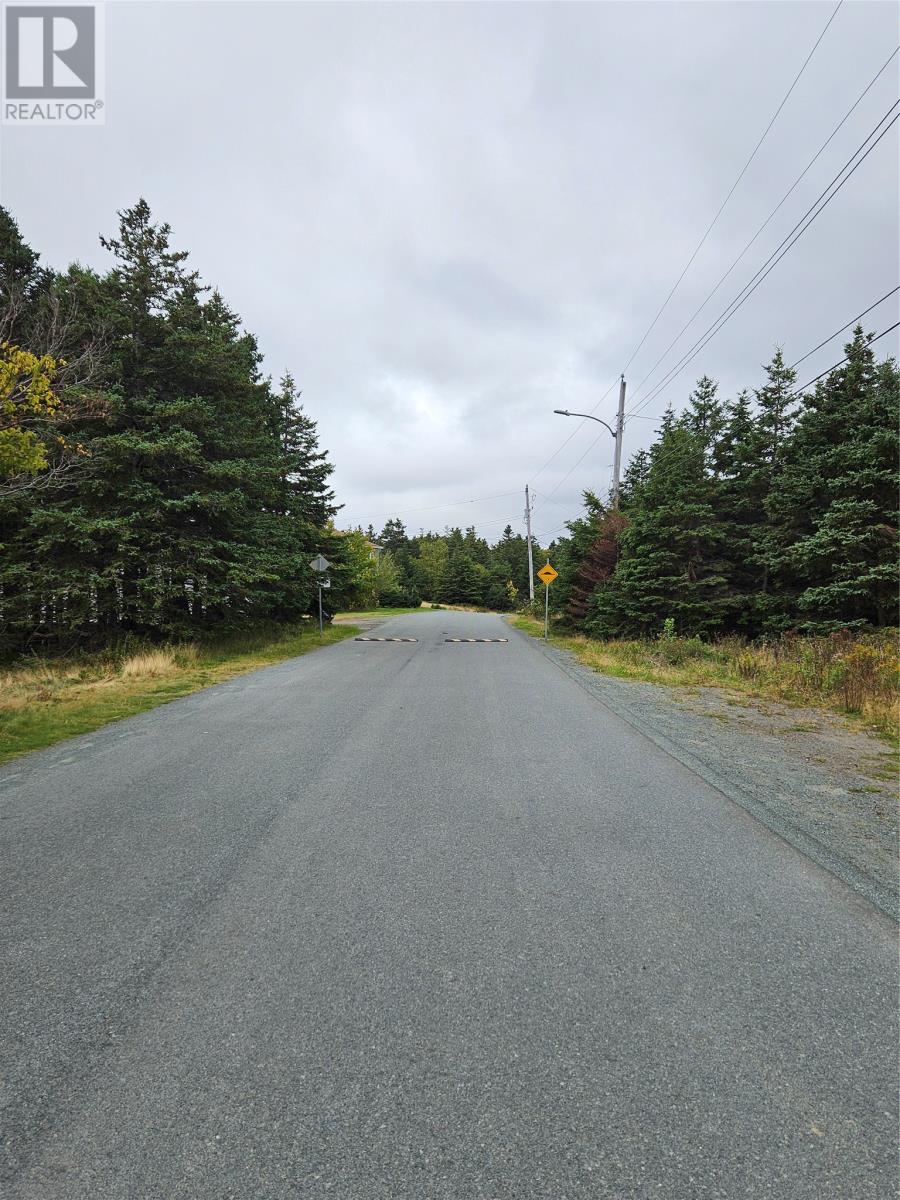 17 Renown Street, Bell Island, Newfoundland & Labrador  A0A 4H0 - Photo 10 - 1293419