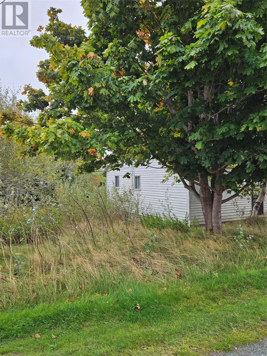 17 Renown Street, Bell Island, Newfoundland & Labrador  A0A 4H0 - Photo 4 - 1293419