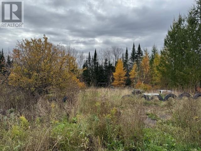 128 Old School Road, Nolalu, Ontario  P0T 2K0 - Photo 22 - TB2600004