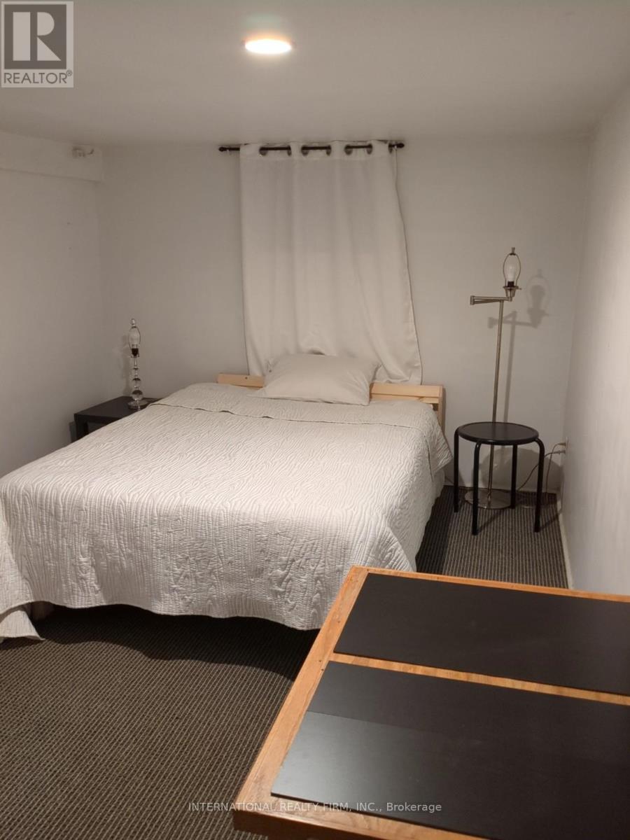 Basemnt - 165 Quebec Avenue, Toronto, Ontario  M6P 2T9 - Photo 4 - W12675922