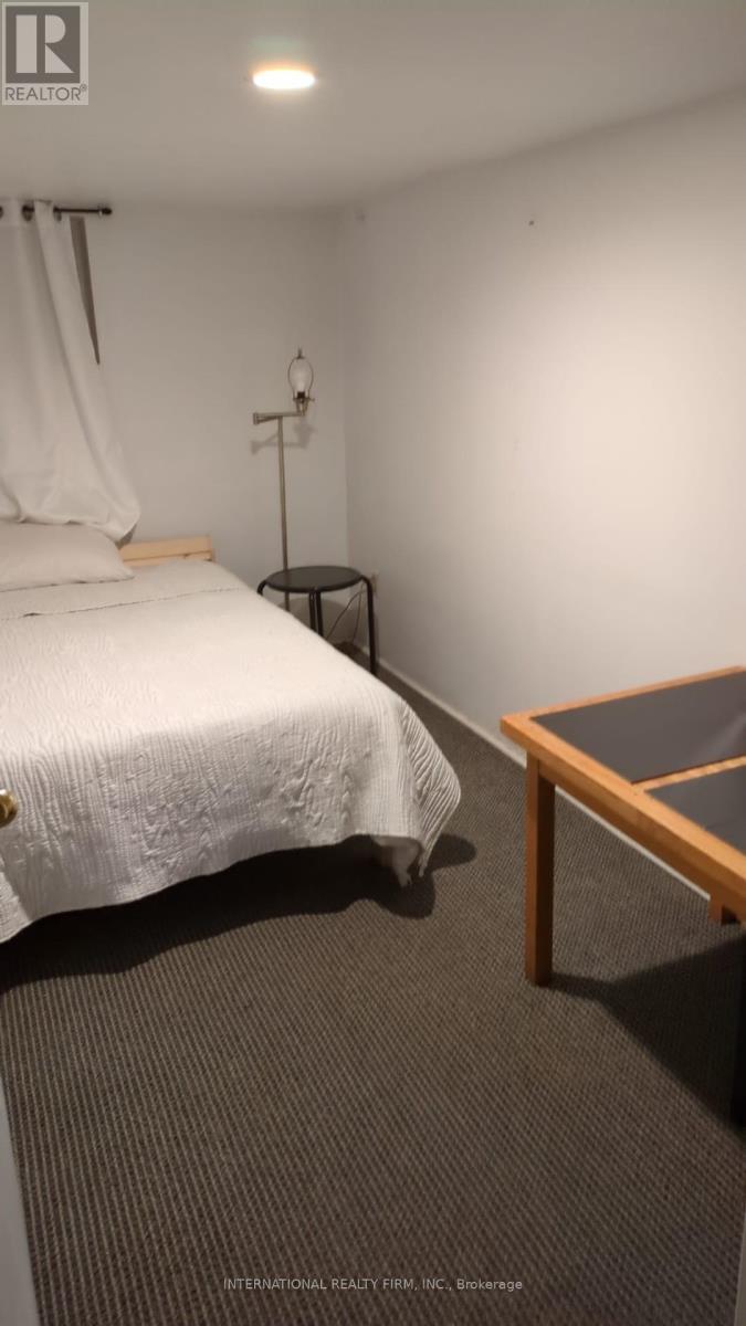 Basemnt - 165 Quebec Avenue, Toronto, Ontario  M6P 2T9 - Photo 5 - W12675922