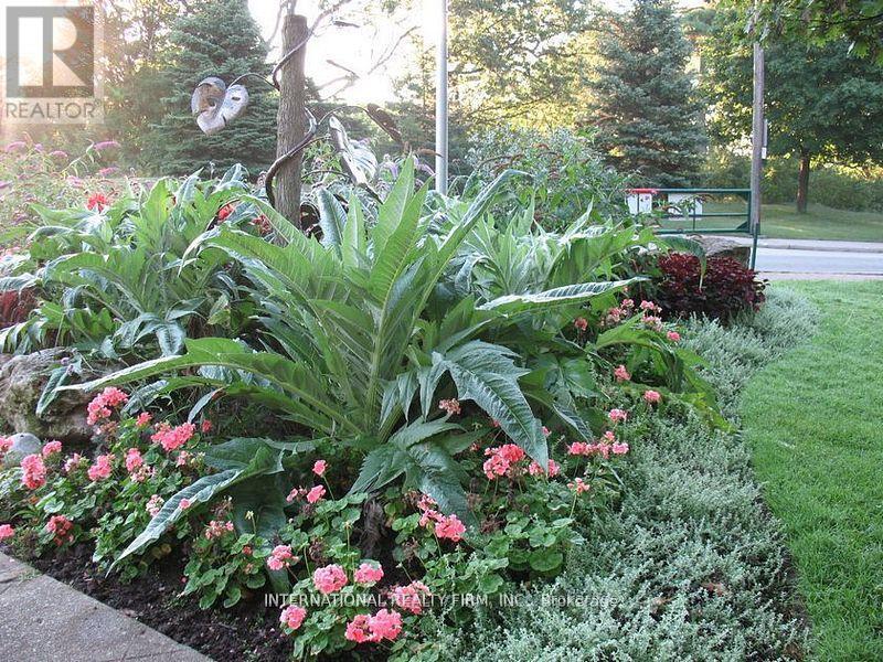 Basemnt - 165 Quebec Avenue, Toronto, Ontario  M6P 2T9 - Photo 6 - W12675922