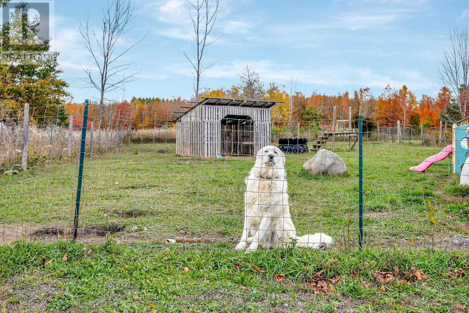 635 Northumberland Heights Road, Alnwick/haldimand, Ontario  K9A 4J8 - Photo 40 - X12676210