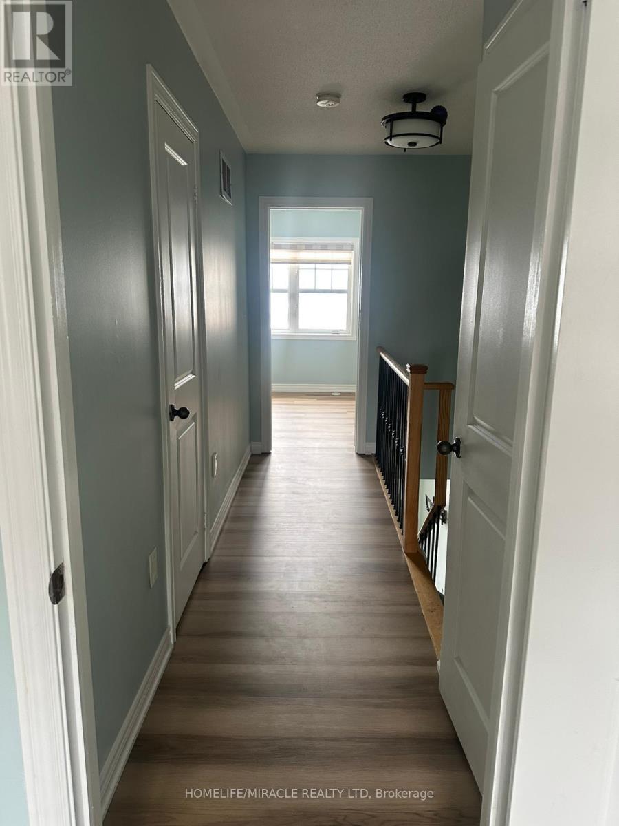 6 Soldier Street, Brampton, Ontario  L7A 4B6 - Photo 5 - W12665908