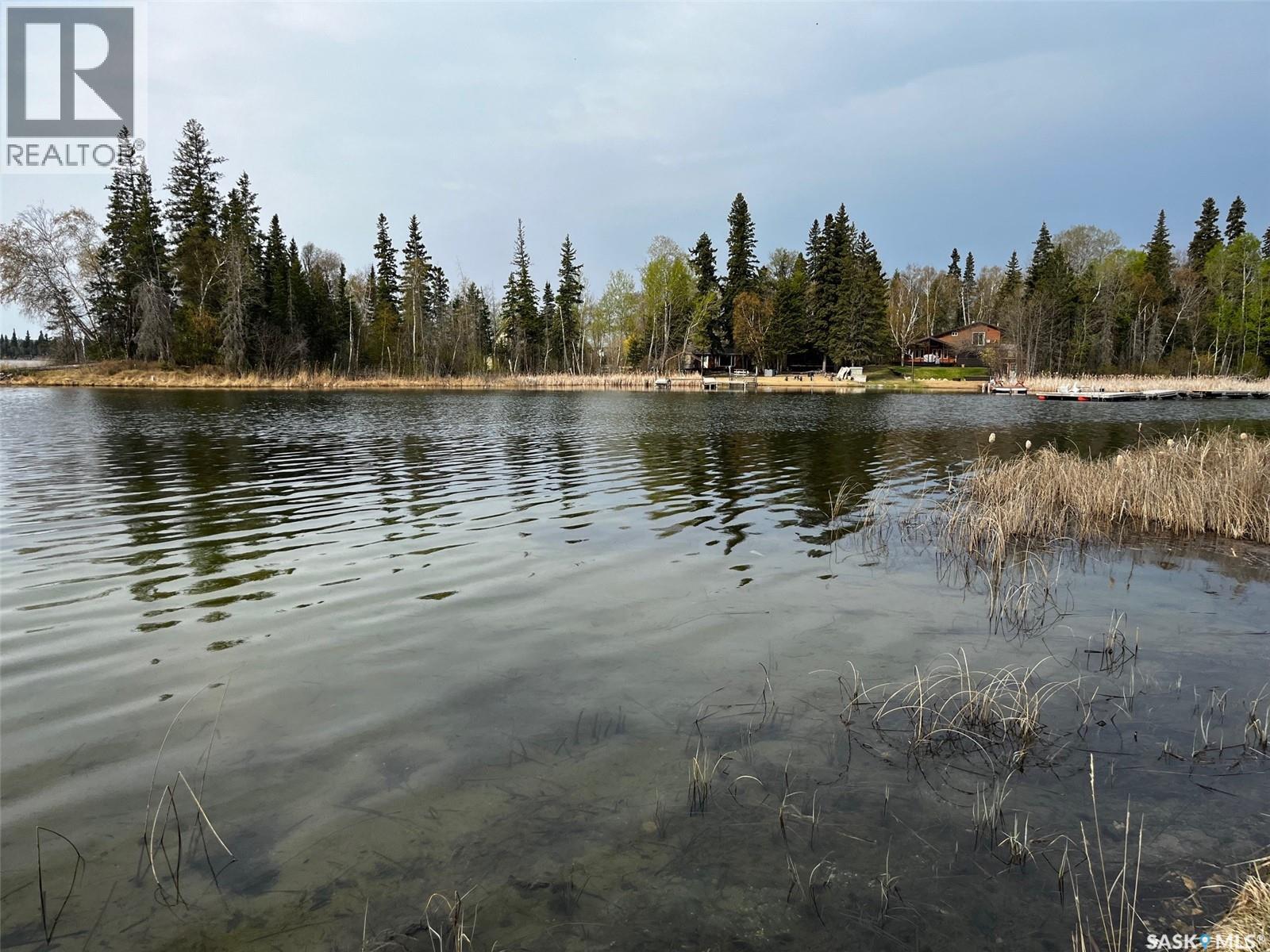 131 Jean Bay, Lakeland Rm No. 521, Saskatchewan  S0J 0N0 - Photo 25 - SK007643