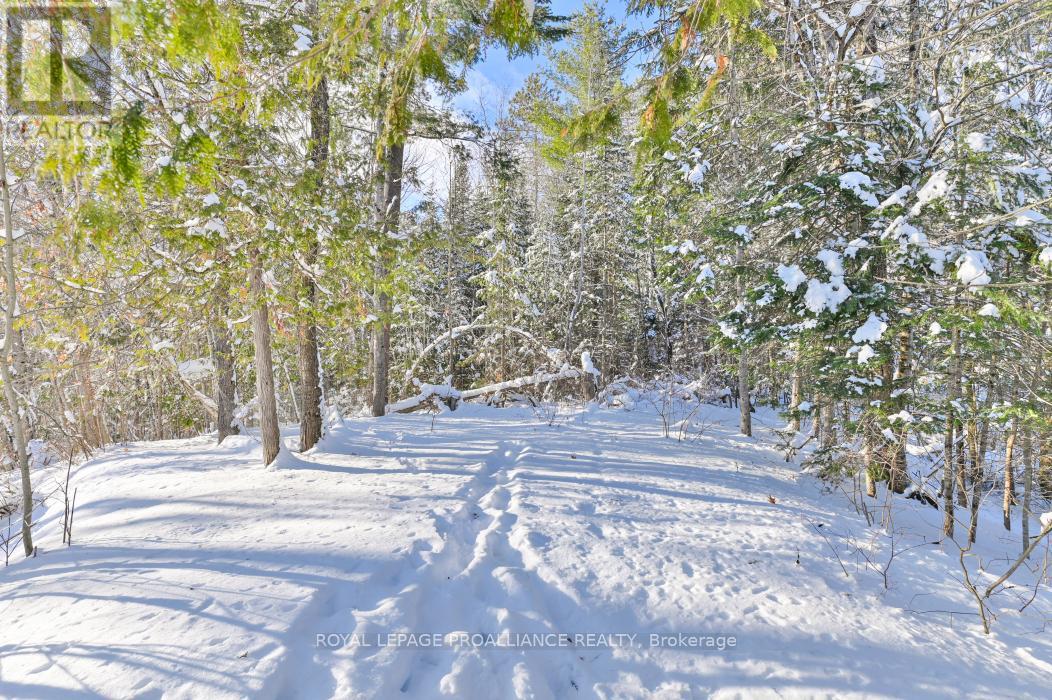 1023 Jewel Road, North Frontenac, Ontario  K0H 1K0 - Photo 33 - X12673694