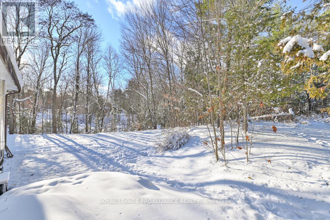 1023 Jewel Road, North Frontenac, Ontario  K0H 1K0 - Photo 32 - X12673694