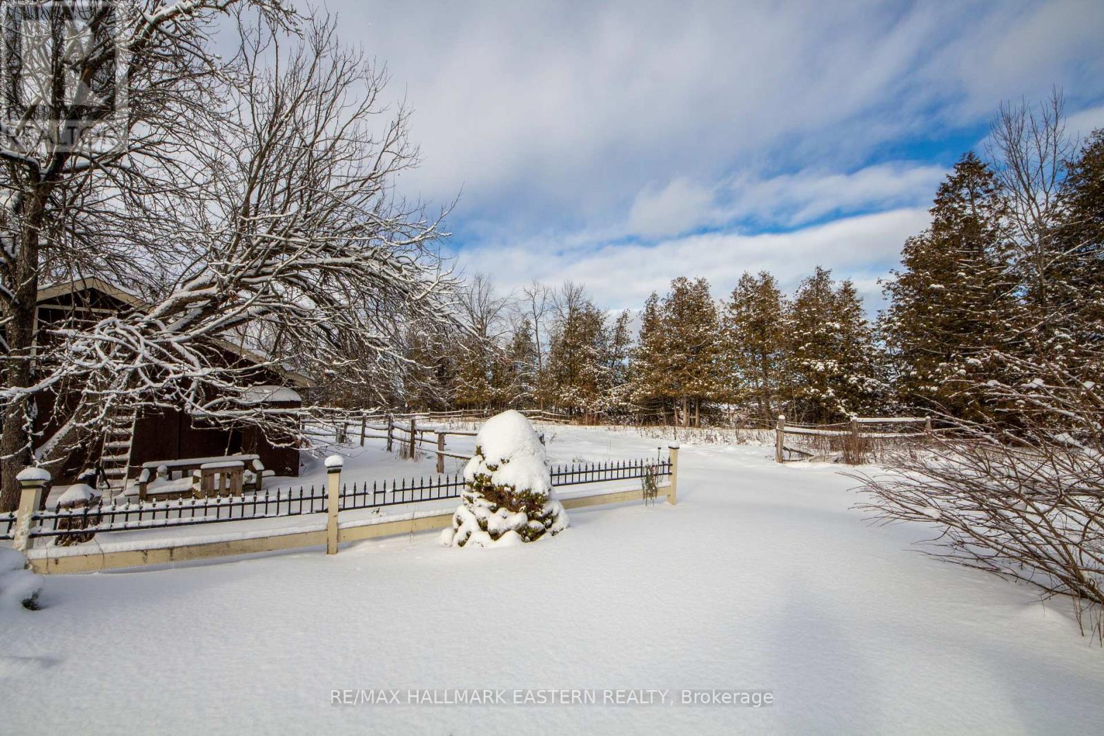764 County Rd 40, Douro-Dummer, Ontario  K0L 2V0 - Photo 42 - X12669848