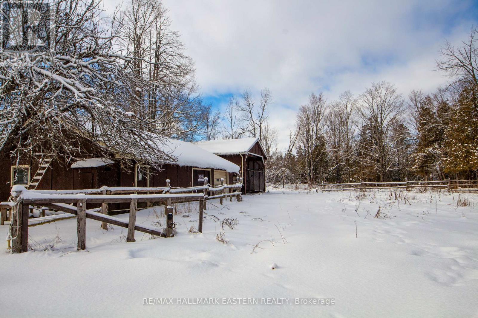 764 County Rd 40, Douro-Dummer, Ontario  K0L 2V0 - Photo 41 - X12669848