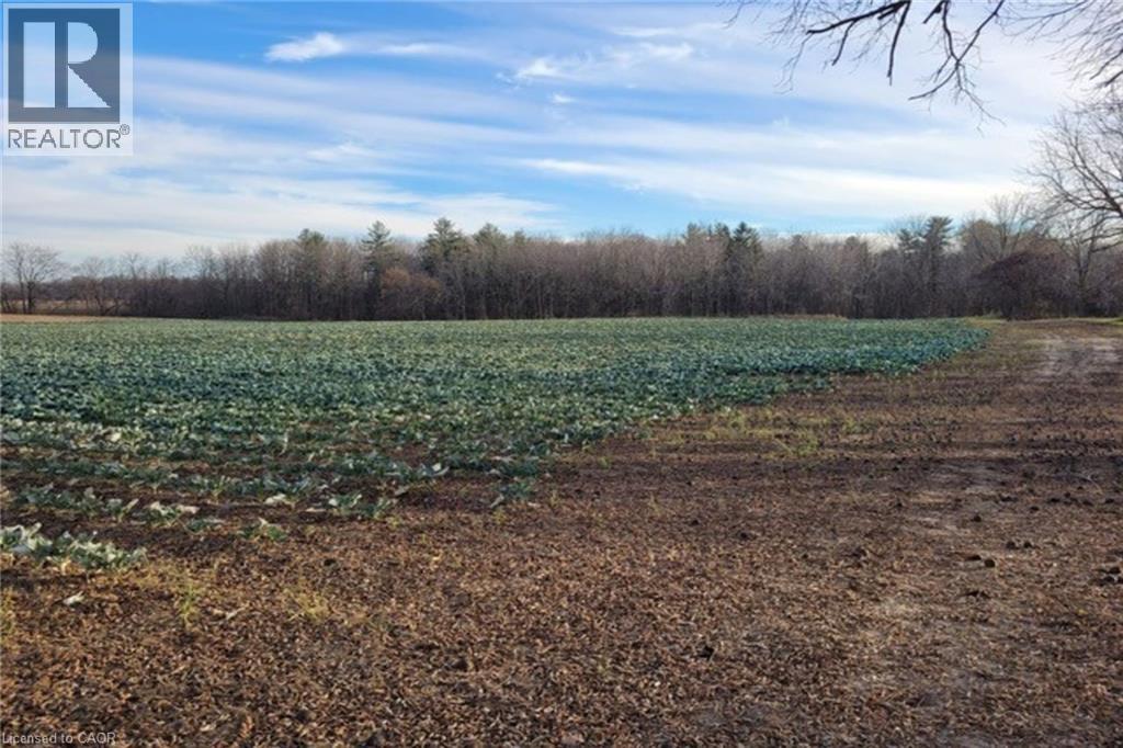 Pt Lt 22 Concession 2 Road W, Flamborough, Ontario  L0R 1T0 - Photo 12 - 40786258