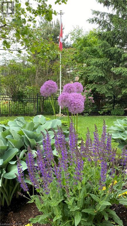 610 Rock Point Crescent, Waterloo, Ontario  N2V 2K3 - Photo 46 - 40795409