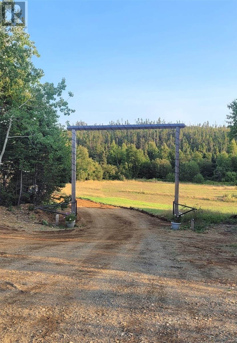 2 Main Road, St Patricks, Newfoundland & Labrador  A0J 1J0 - Photo 1 - 1293564