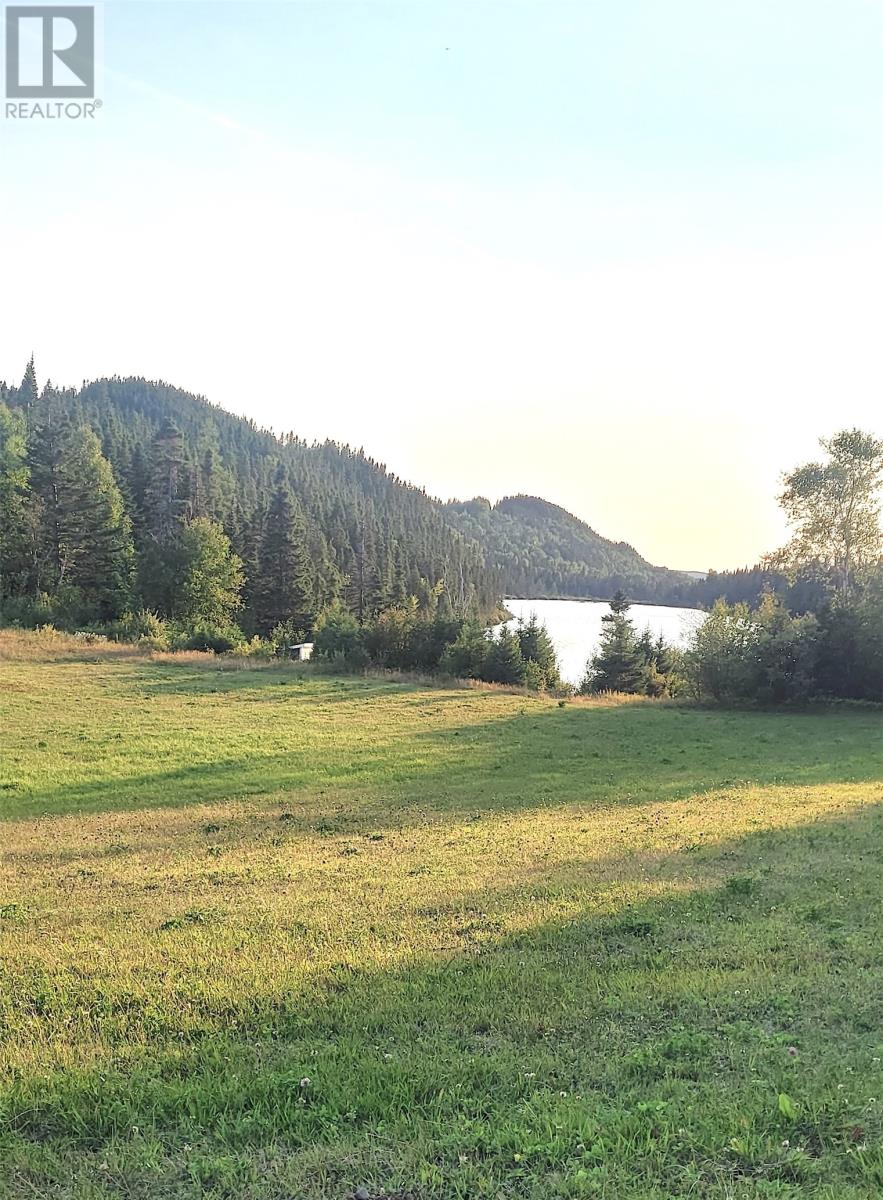 2 Main Road, St Patricks, Newfoundland & Labrador  A0J 1J0 - Photo 26 - 1293564