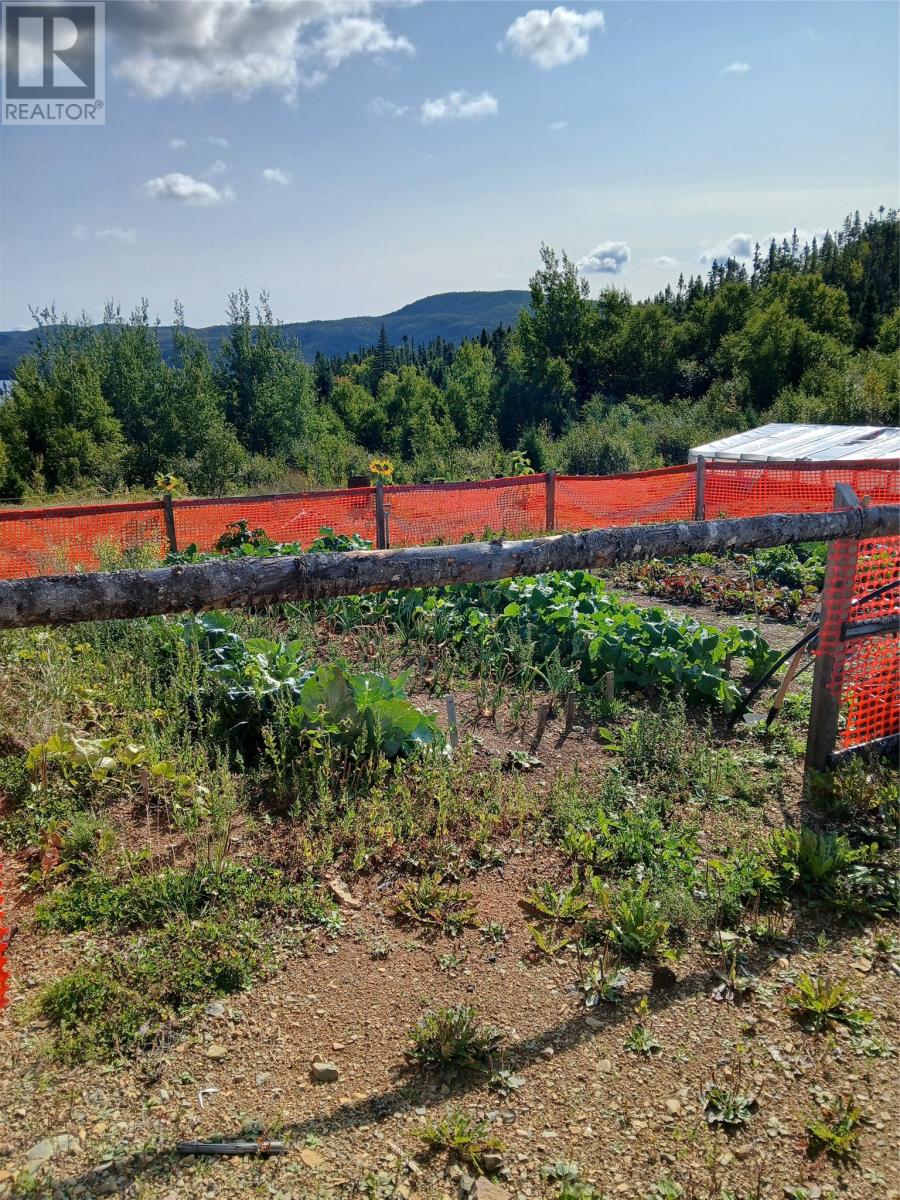 2 Main Road, St Patricks, Newfoundland & Labrador  A0J 1J0 - Photo 45 - 1293564