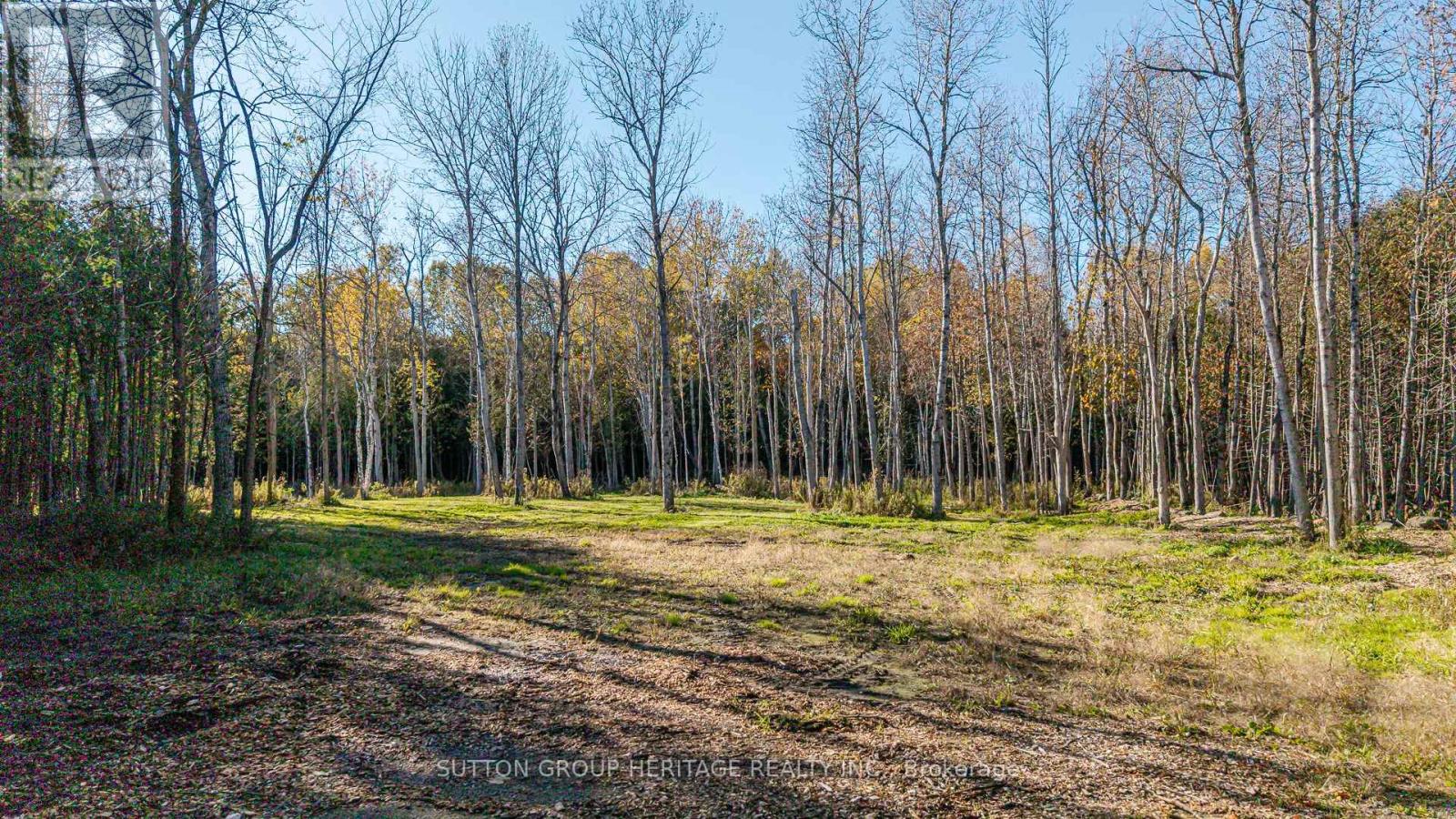 2490 Green Road, Clarington, Ontario  L1C 3K7 - Photo 17 - E12671876