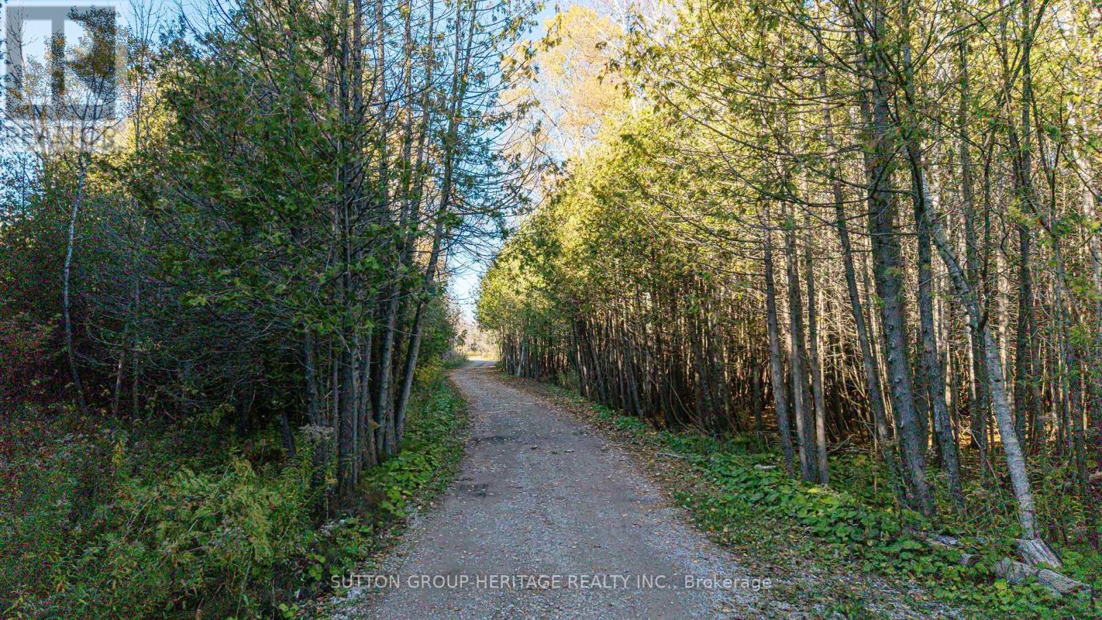 2490 Green Road, Clarington, Ontario  L1C 3K7 - Photo 16 - E12671876