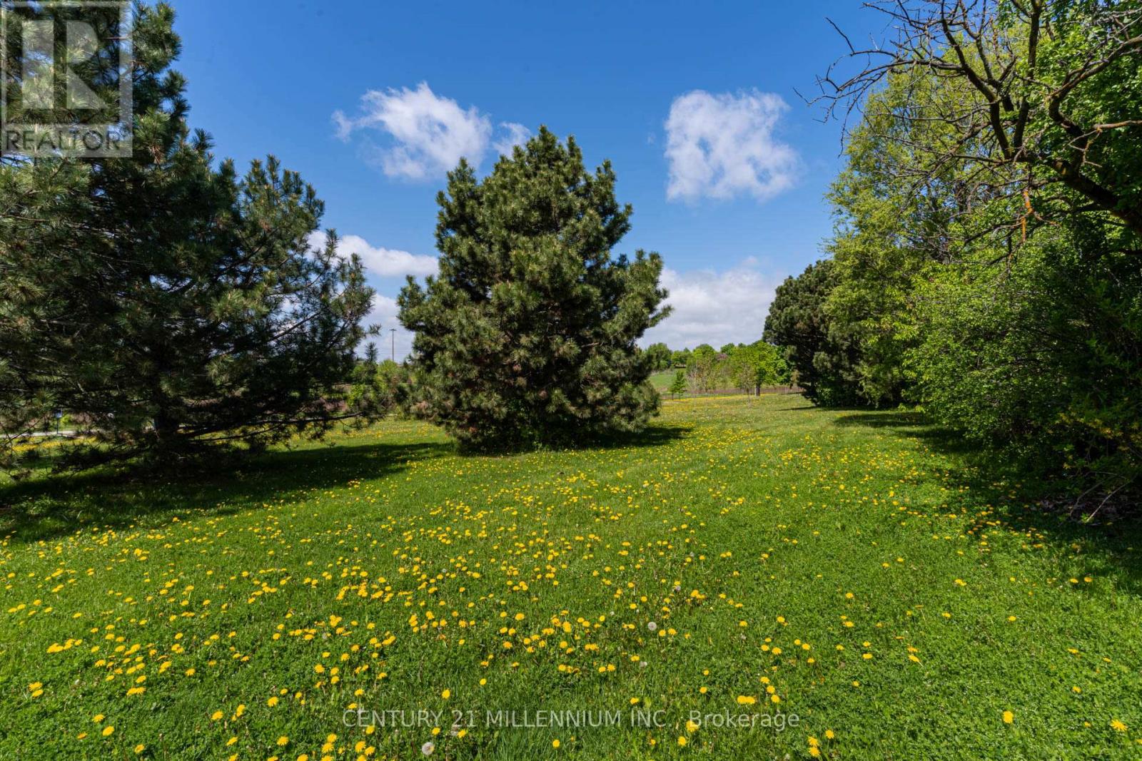 56 Nuttall Street, Brampton, Ontario  L6S 4V4 - Photo 37 - W12409288