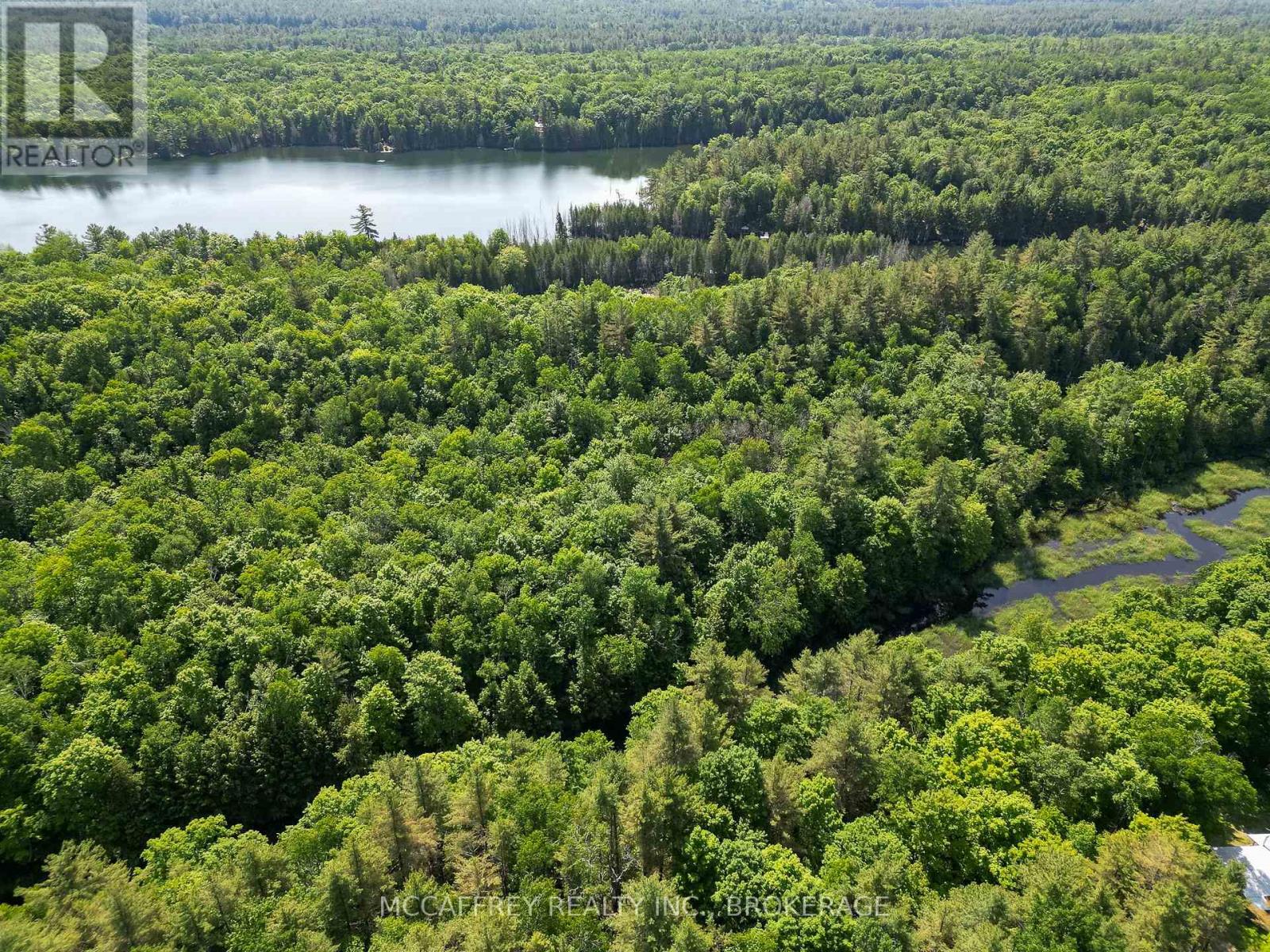 Pt Lt 4 Con 7 Kaladar County Rd 41 Road, Addington Highlands, Ontario  K0H 1Z0 - Photo 13 - X12676544