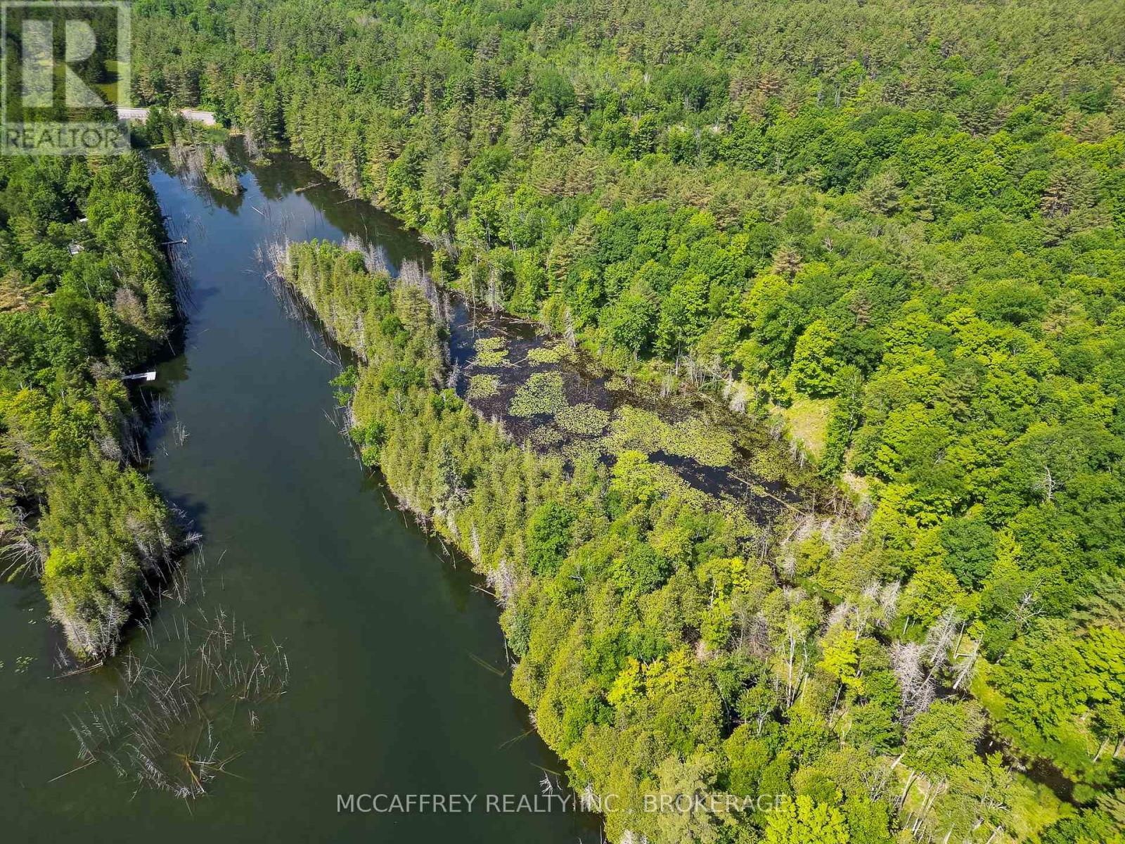 Pt Lt 4 Con 7 Kaladar County Rd 41 Road, Addington Highlands, Ontario  K0H 1Z0 - Photo 14 - X12676544