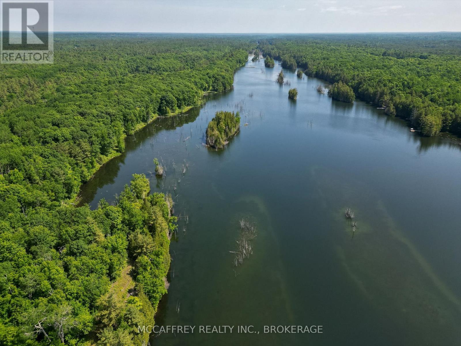 Pt Lt 4 Con 7 Kaladar County Rd 41 Road, Addington Highlands, Ontario  K0H 1Z0 - Photo 15 - X12676544